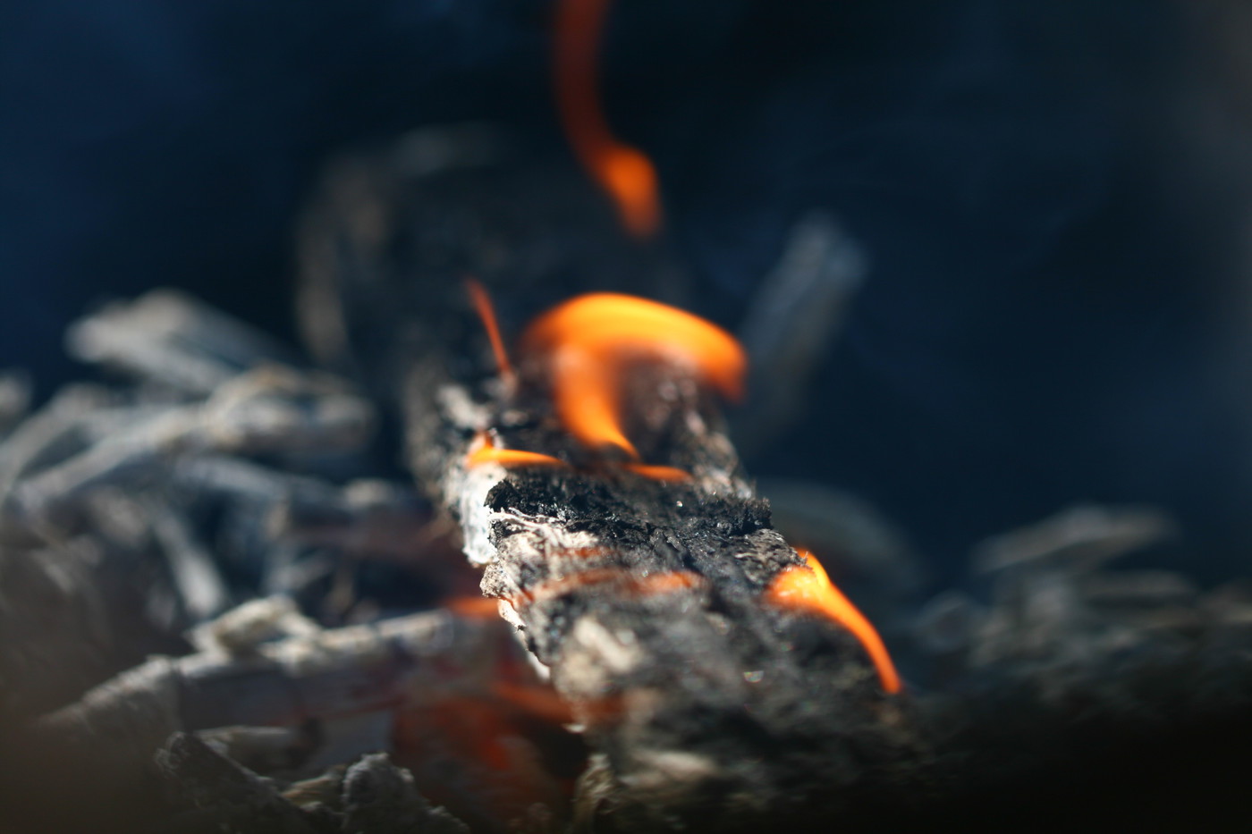 Australia day earth oven