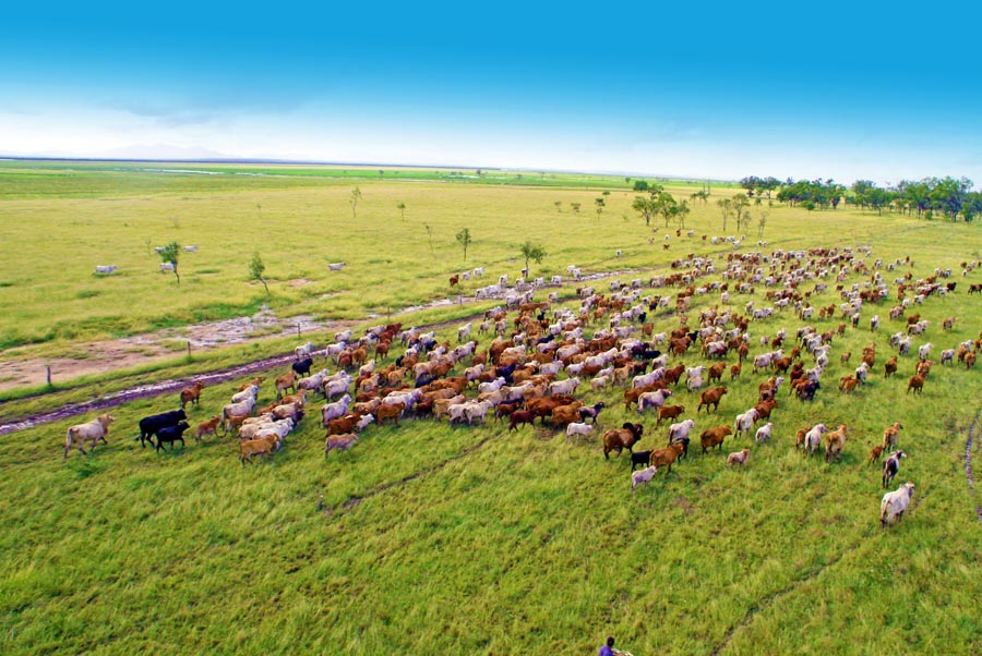 farm biosecurity