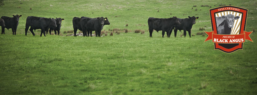 Black Angus Beef