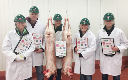 USDA grading