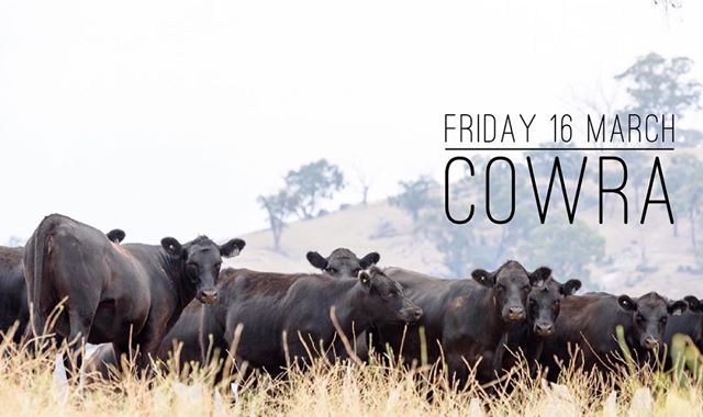 beef producers event