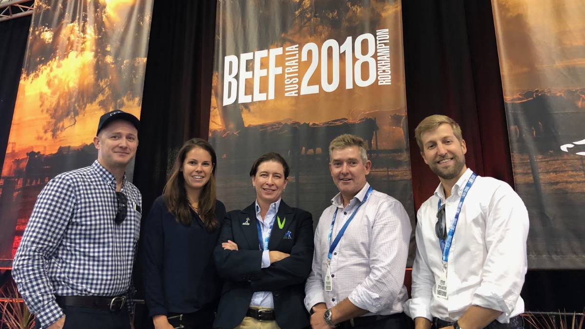 antibiotics in beef