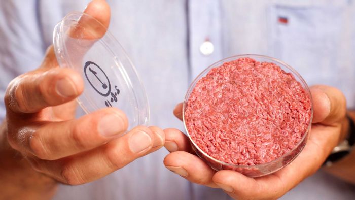 lab grown meat