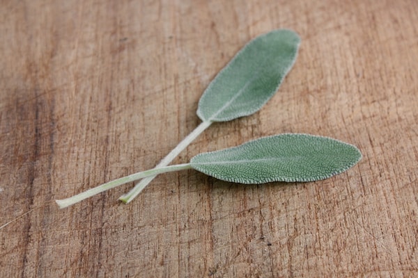 what herbs go with beef